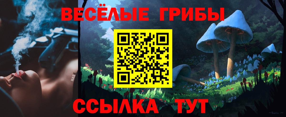 Псилоцибиновые грибы MAGIC MUSHROOMS  Галлюциногенные грибы MAGIC MUSHROOMS  Йошкар-Ола  Вход с VPN 