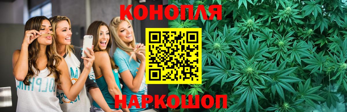 Конопля тримм  Вход с VPN  Бошки Шишки план  Бошки Шишки тримм  Йошкар-Ола 
